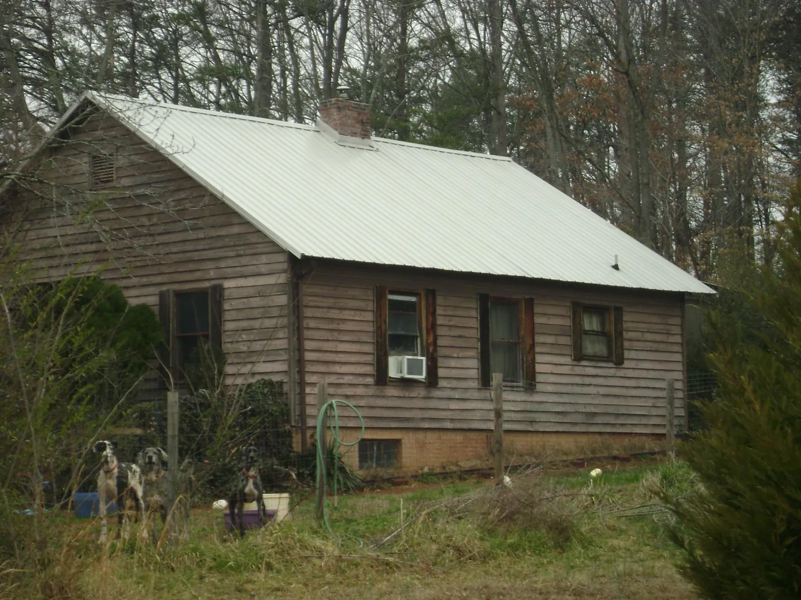 White metal roof on an old wood sided farmhouse, from a Asphalt Shingle Roof Repair job in Lebeau